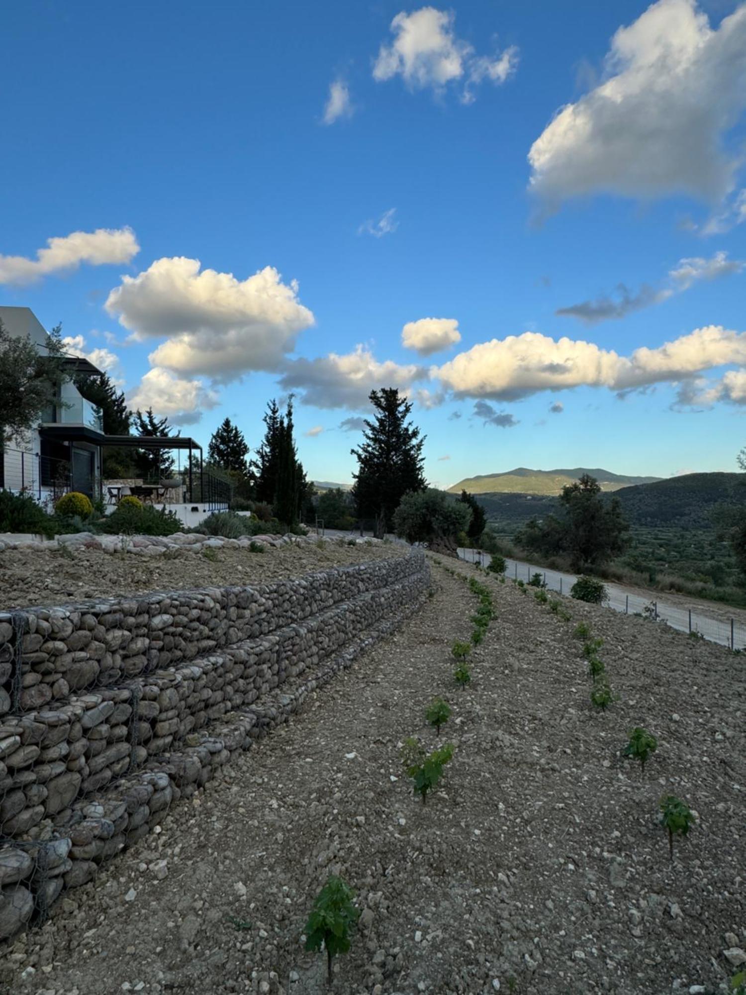 Vasiliki Houses Eksteriør bilde