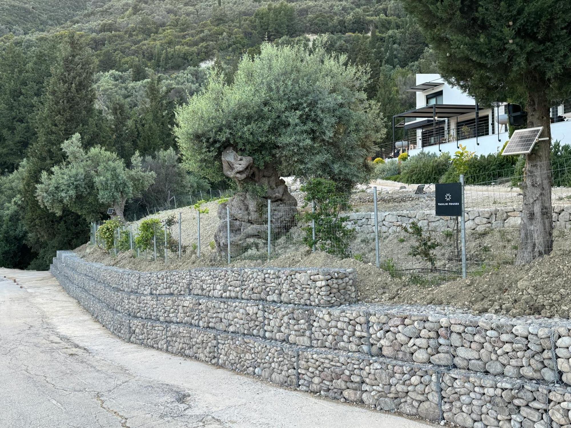 Vasiliki Houses Eksteriør bilde
